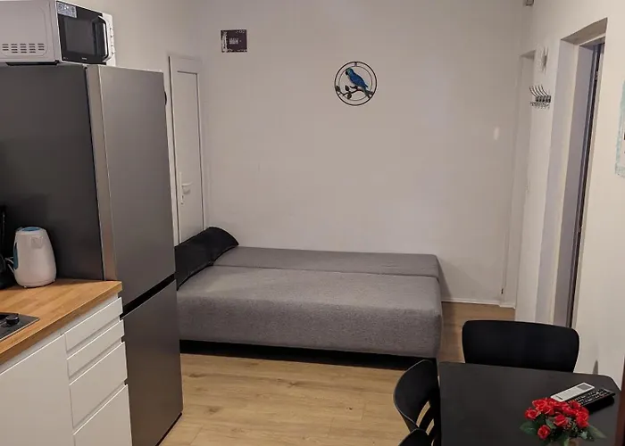 Apartamento Ground Floor 50m From Back Entrance Srima